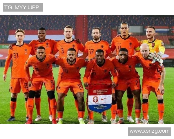 2020年欧洲杯荷兰队赛程详细解析与赛事前瞻